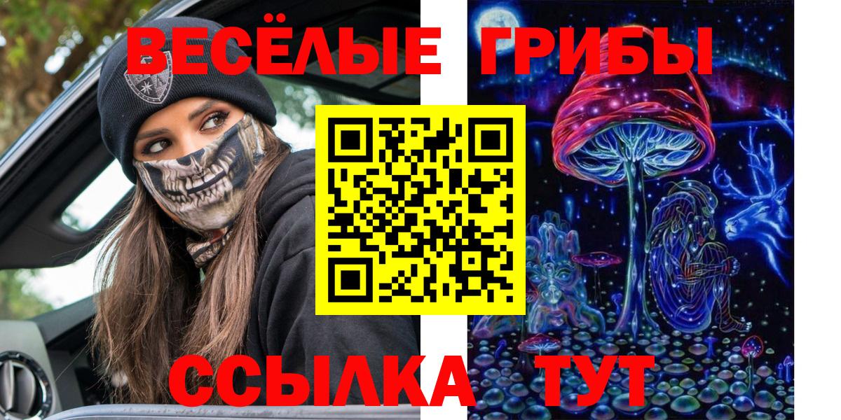Псилоцибиновые грибы MAGIC MUSHROOMS  Вход с VPN  Белорецк  Галлюциногенные грибы прущие грибы 